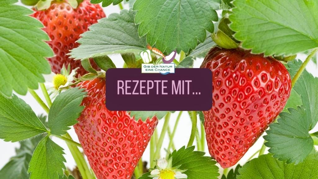 Rezeptideen mit Erdbeeren